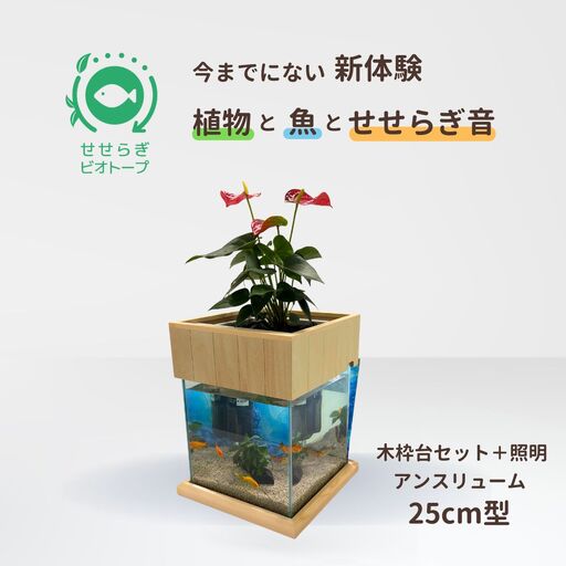 せせらぎビオトープ　25cm型照明+木枠台セット（アンスリウム）