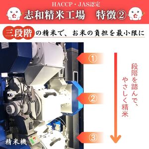 東広島市産米　恋の予感　無洗米　5kg