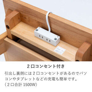 学習デスク(スキップ 100本体)