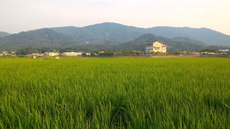 東広島市産米 令和7年産 コシヒカリ 10kg