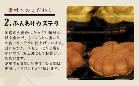 もみじ饅頭詰め合わせ30個入