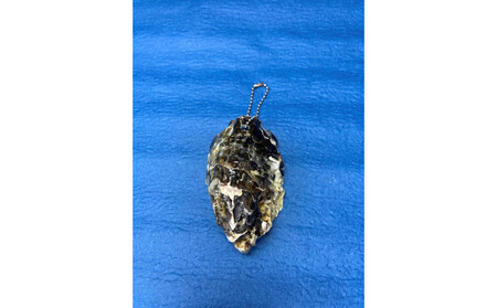 宮島が育んだ冷凍むき身600g+牡蠣殻マグネット&キーホルダー