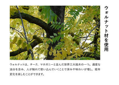 【浜本工芸】ウォルナット 7509スツール ダイニングテーブル用