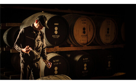 戸河内ハイボール缶 350ml缶×24本（1ケース）