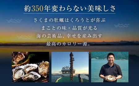 【加熱用】宮島が育んだ冷凍かき(殻付き)15個【広島かき 牡蠣 牡蠣 牡蠣 牡蠣 牡蠣 牡蠣 広島県 廿日市市】