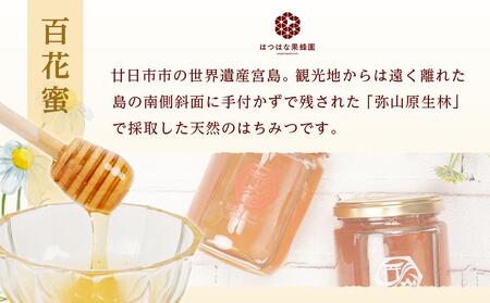 はつはな果蜂園の宮島はちみつセット A