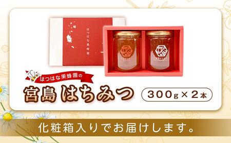 はつはな果蜂園の宮島はちみつセット A