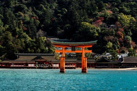 【藤い屋】もみじまんじゅう　こしあん　10個入り