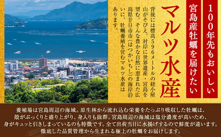 ★北海道・沖縄配送不可★［殻付き牡蠣］Ｌサイズ(大)30個《加熱用》