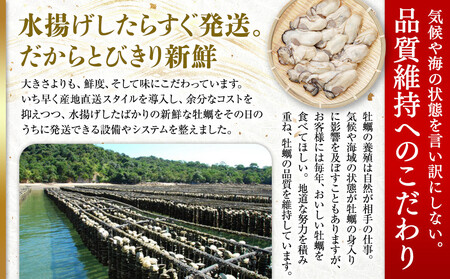 ★北海道・沖縄配送不可★［殻付き牡蠣］Ｌサイズ(大)30個《加熱用》