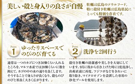 ★北海道・沖縄配送不可★［殻付き牡蠣］Ｌサイズ(大)30個《加熱用》