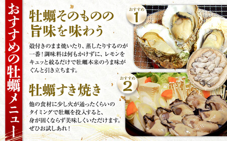 ★北海道・沖縄配送不可★(活き)かき小町(ブランド牡蠣)　10個《加熱用》