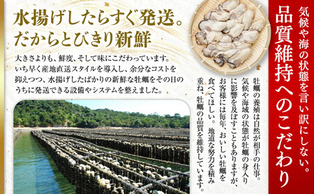 ★北海道・沖縄配送不可★むき身500gと殻付き牡蠣Lサイズ10個セット《加熱用》