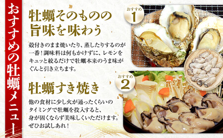 ★北海道・沖縄配送不可★むき身500gと殻付き牡蠣Lサイズ10個セット《加熱用》