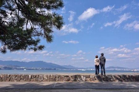 国民宿舎みやじま杜の宿 （1泊2食付）ペア宿泊利用券