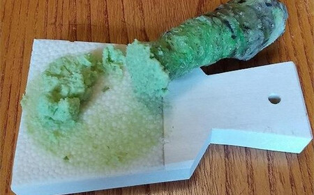 芸州吉和村 植本わさび本舗 生わさび ときめき初体験セット