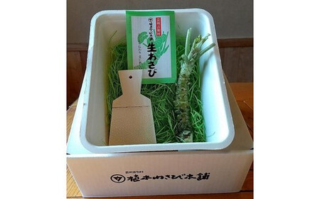 芸州吉和村 植本わさび本舗 生わさび ときめき初体験セット
