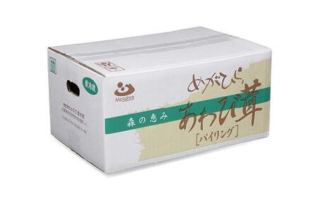 香り舞茸とあわび茸セット