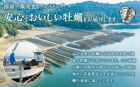 島田水産　Shimada　Oyster　殻付き牡蠣20個(加熱用）
