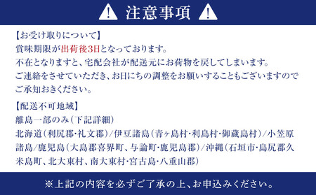島田水産　Shimada　Oyster　殻付き牡蠣20個(加熱用）
