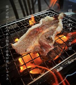 広島名物コウネ巻きハンバーグ 10個 コウネスライス500g