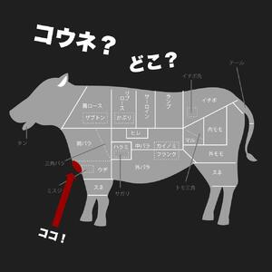 広島名物コウネ巻きハンバーグ 10個 コウネスライス500g