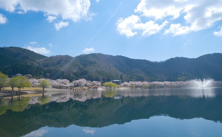 【返礼品なし】「 安芸高田市 」への寄附 3,000円コース 自治体自治体にお任せ 