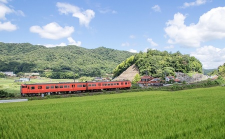 【返礼品なし】「 安芸高田市 」への寄附 3,000円コース 自治体自治体にお任せ 