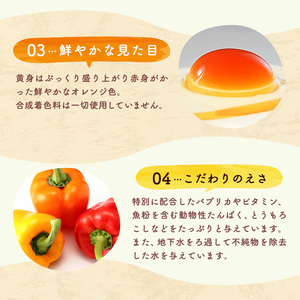 3ヶ月 定期便 こだわり家族のこだわり卵 30個 セット安芸高田市 たまご 鶏卵 3回 