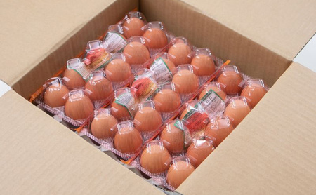 6ヶ月 定期便 こだわり家族のこだわり卵 30個 セット 安芸高田市 たまご 鶏卵 6回