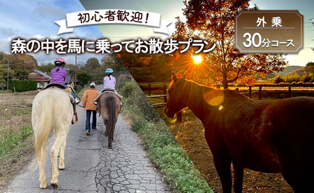 初心者歓迎 森の中を馬に乗ってお散歩プラン(30分)  外乗 体験 広島 安芸高田市 エオの谷