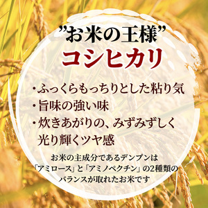 米 定期便 8kg 5ヶ月 コシヒカリ 広島県安芸高田市産 4kg×2袋 白米 精米
