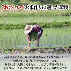 米 令和5年産　広島県安芸高田市産コシヒカリ6kg