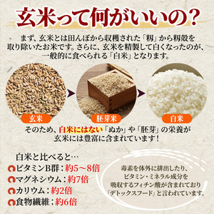 米 【10ヶ月お届け】令和5年産　安芸高田市産コシヒカリ『玄米』6kg