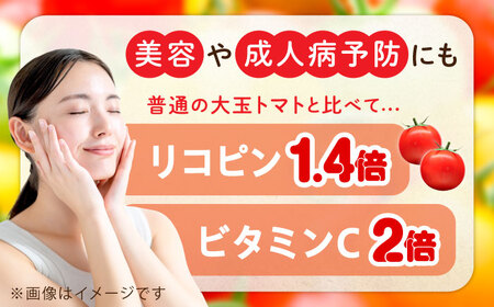 【全6回】プレミアムトマトジュース 180mL×8本 トマト[XAB008]