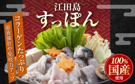 すっぽん切り身400g すっぽん[XAC002]