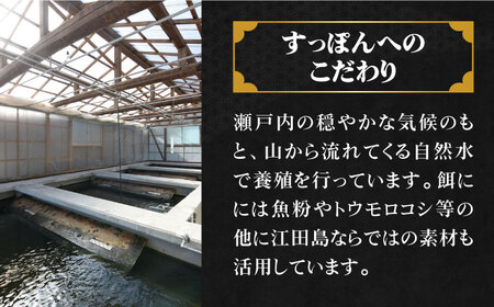 【全3回】すっぽん切り身400g すっぽん[XAC006]