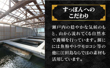 【全6回】すっぽん切り身200g すっぽん[XAC009]