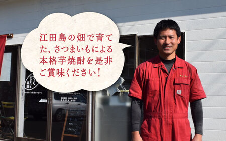 芋焼酎紅はるか720ml×2 焼酎[XAD001]