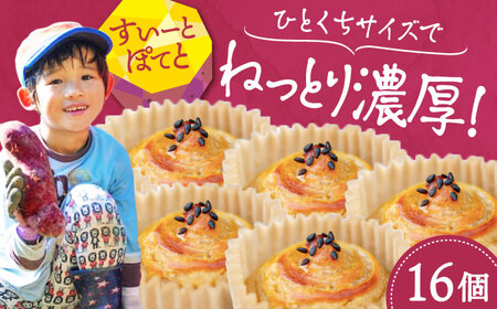 さつまいも スイートポテト16個 さつまいも[XAD015]