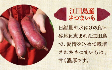 【全12回】さつまいも 壺焼き芋800g さつまいも[XAD047]