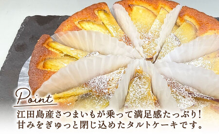 さつまいもたると5号×2個 さつまいも[XAD063]