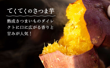 さつまいもたると5号×2個 さつまいも[XAD063]