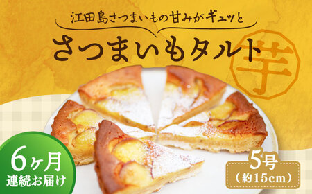 【全6回】さつまいもたると5号 さつまいも[XAD068]