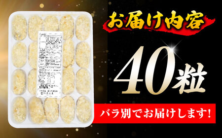 冷凍牡蠣 カキフライ40粒 牡蠣[XAE016]