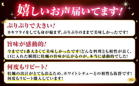 冷凍牡蠣むき身2L3kg 牡蠣[XAE029]