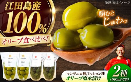 オリーブ 塩水漬けセット マンザニロ種＆ミッション種 各2個 オリーブ