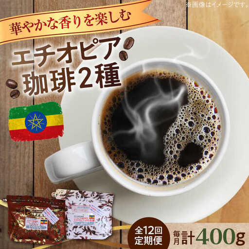 【全12回】エチオピアコーヒー2種 豆or粉 コーヒー[XBE056]