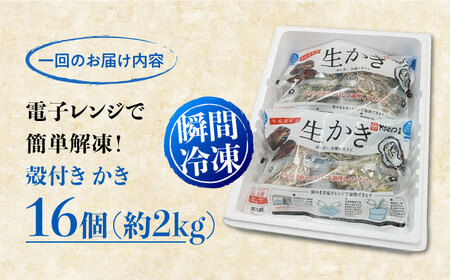 冷凍が嬉しい！【全3回定期便】やながわ自慢！ 殻付き 牡蠣 16個(瞬間冷凍) かき 海鮮 和食 海産物 簡単 レシピ 広島県産 江田島市/マルサ・やながわ水産有限会社[XBL012]牡蠣冷凍殻付きかきカキ牡蠣