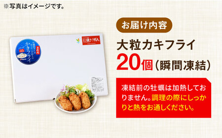 【全12回】牡蠣 冷凍カキフライ20個 牡蠣[XBL017]